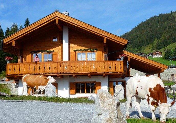 Oostenrijk en zijn koeien bij Chalet Xieje